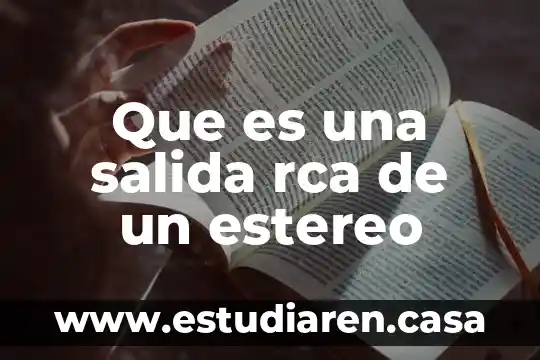 Que es salida spdif 3 Que es una salida rca de un estereo
