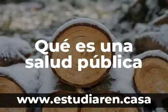 Qué es una salud pública