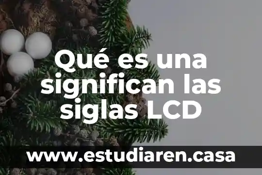 Qué es una significan las siglas LCD
