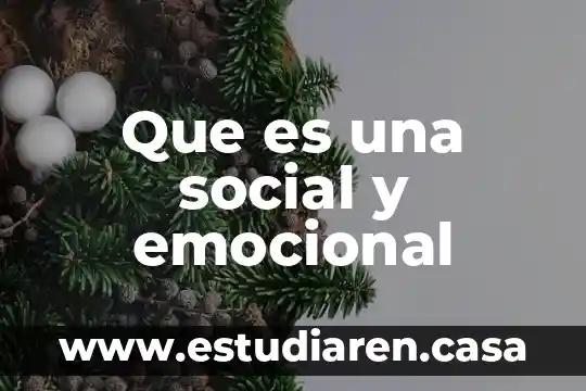 Que es una social y emocional