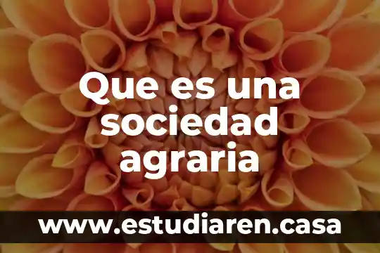 Qué es la denominación social de una sociedad 7 Que es una sociedad agraria