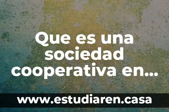 Qué es una sociedad guidens 3 Que es una sociedad cooperativa en mexico