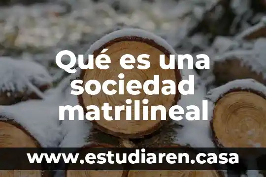 Qué es una sociedad matrilineal