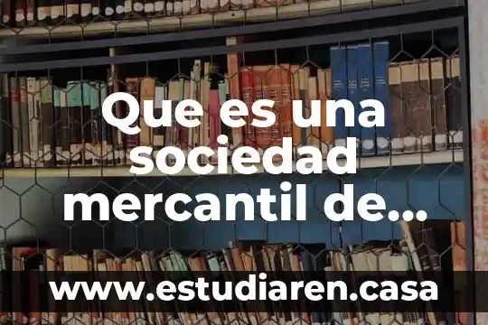 Que es una sociedad mercantil de hecho ejemplo