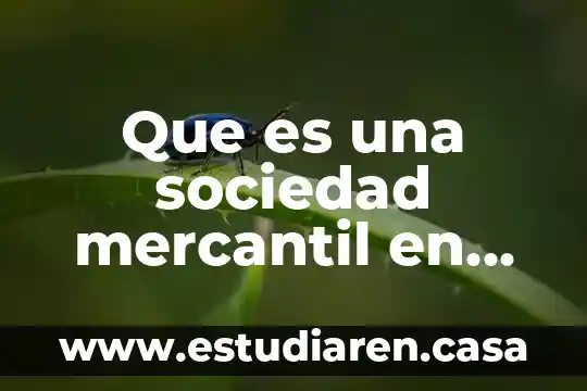 Que es una sociedad mercantil en nombre colectivo