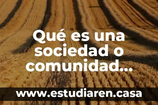 Qué es una sociedad guidens 7 Qué es una sociedad o comunidad virtual