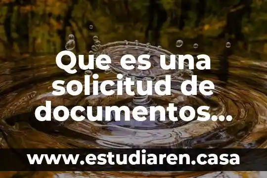 Que es una solicitud de documentos de identidad y viaje