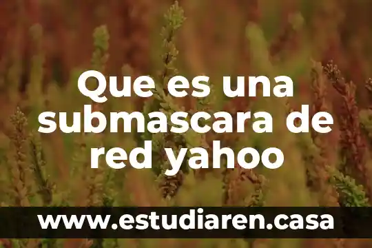 Yahoo Oath que es 3 Que es una submascara de red yahoo