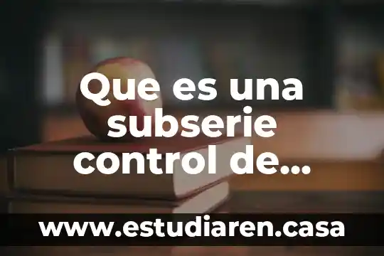 Que es una subserie control de archivo ejemplo