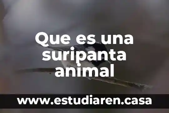 Que es una suripanta animal