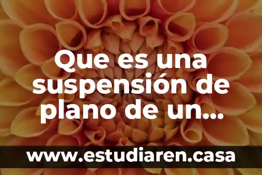 Suspension quimica que es 5 Que es una suspensión de plano de un reo