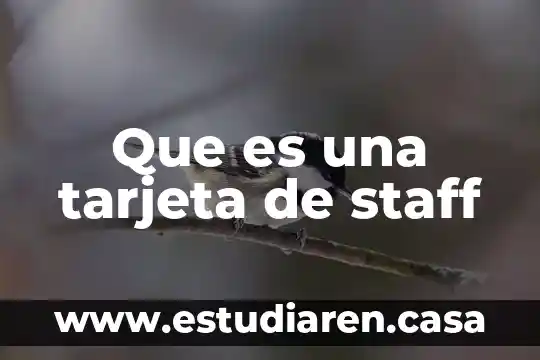 Para que es la tarjeta lgbttti de capital social 3 Que es una tarjeta de staff