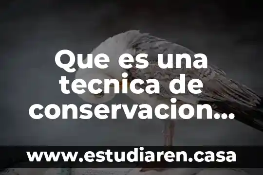 Que es una tecnica de conservacion del suelo y agua