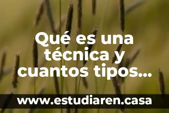 Qué es una técnica y cuantos tipos técnicas existen