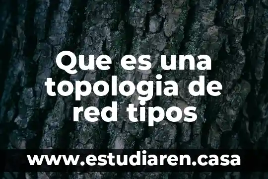 Que es una topologia de red tipos