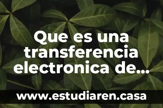 Que es el manejo de fondos publicos 8 Que es una transferencia electronica de fondos en una notaria