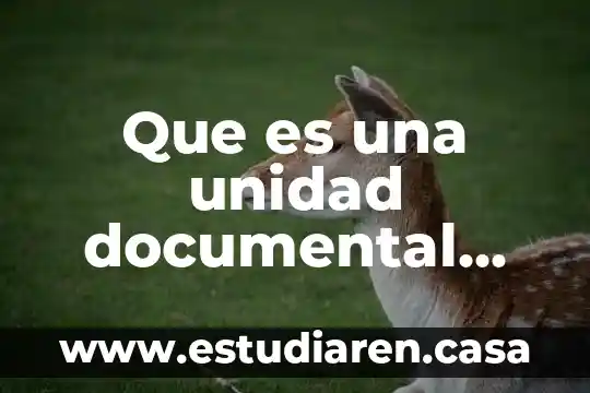 Documental cornico que es 4 Que es una unidad documental simple