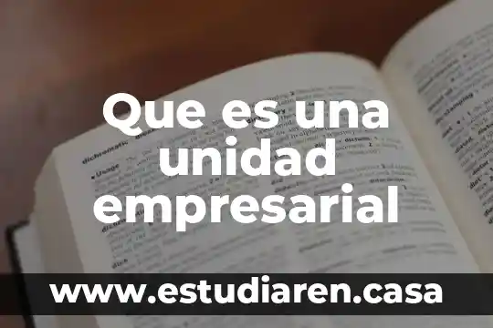 Que es una unidad empresarial