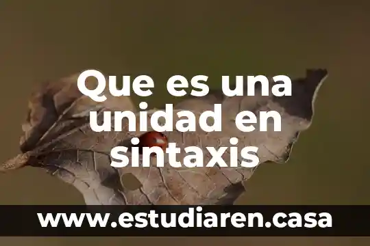 Que es una unidad en sintaxis