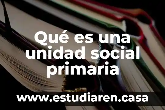 Qué es una unidad social primaria