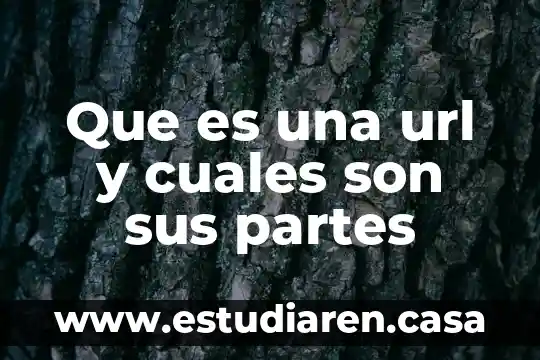Qué es una morfema y cuáles son los elementos dramáticos 6 Que es una url y cuales son sus partes