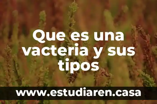 Que es una vacteria y sus tipos