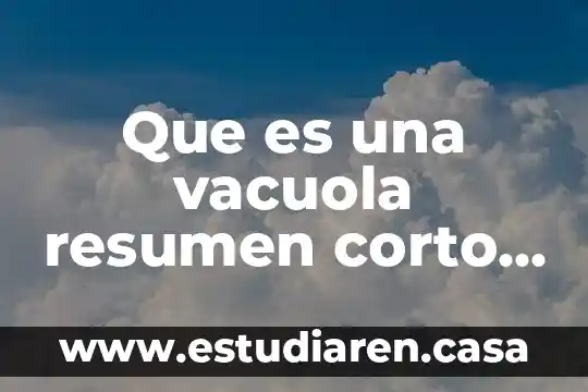 Qué es célula animal y vegetal sus partes y funciones 4 Que es una vacuola resumen corto celula vegetal