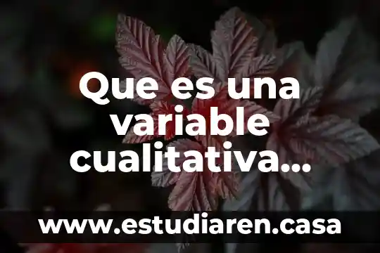 Qué es números racionales en matemáticas 4 Que es una variable cualitativa matematicas