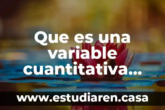 Que es una variable cuantitativa ejemplo