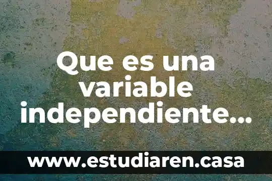 Que es una variable independiente calculo