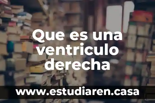 Que es la suspencion derecha 3 Que es una ventriculo derecha