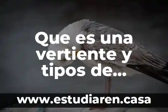 Que es una vertiente y tipos de vertientes