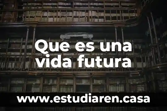 Que es una vida futura