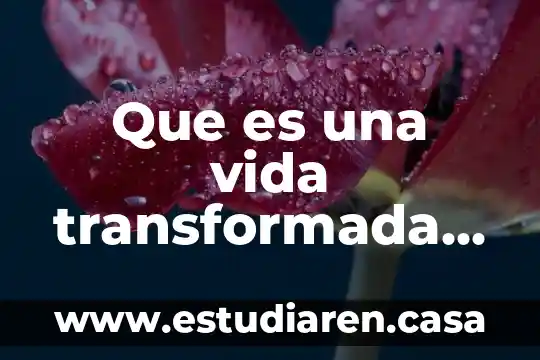 Que es una presentacion efectiva en power point 4 Que es una vida transformada por jesus en power point