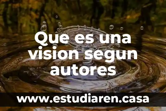 Que es una vision segun autores