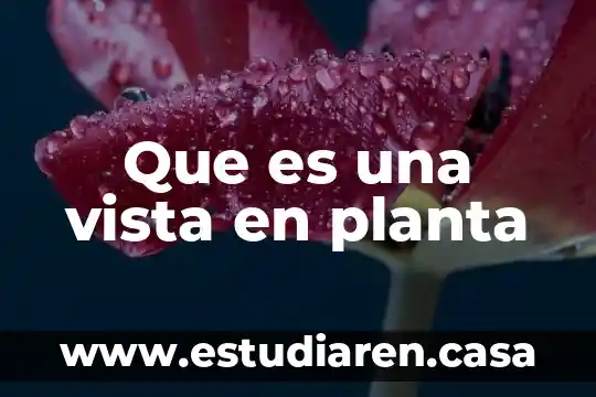 Que es una vista en planta