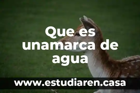Que es unamarca de agua