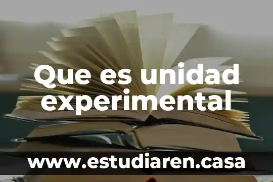 Que es un tipo de investigacion no experimental 4 Que es unidad experimental