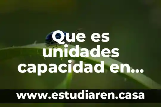 Que es unidades capacidad en matemáticas