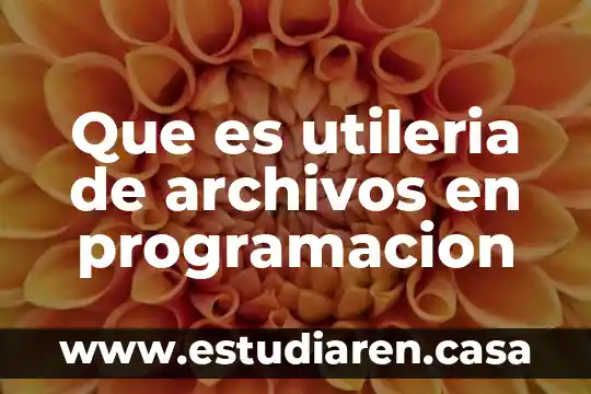 Archivos ocr que es 6 Que es utileria de archivos en programacion