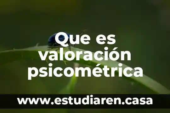 Que es valoración psicométrica