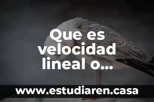 Que es velocidad lineal o tangencial en fisica