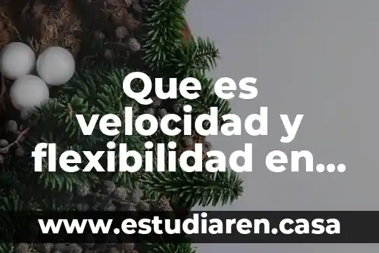 Qué es educación secundaria básica 6 Que es velocidad y flexibilidad en educacion fisica