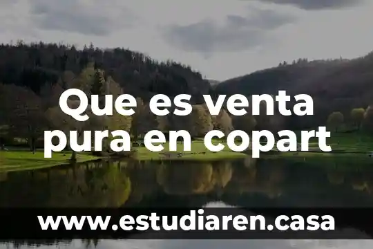 Qué es ciencia pura concepto 3 Que es venta pura en copart