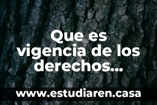 Que es vigencia de los derechos humanos