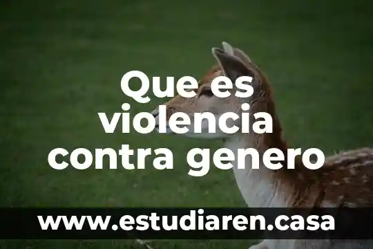 Que es violencia contra genero