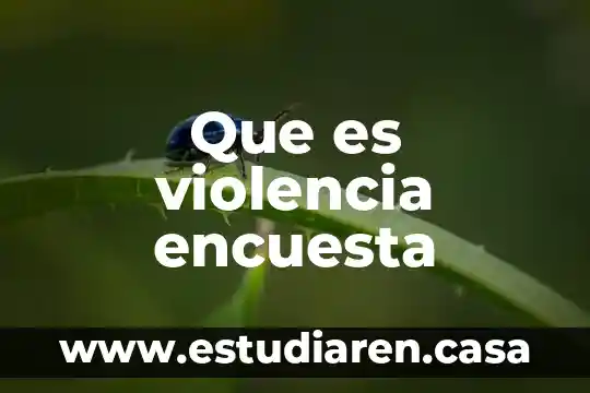 Que es violencia encuesta