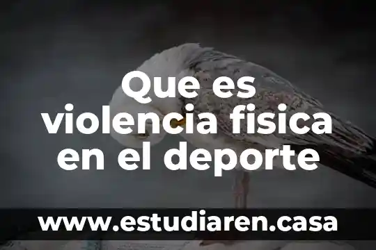 Que es violencia fisica en el deporte