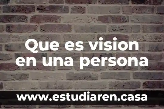 Que es vision en una persona