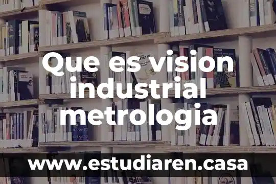 Que es vision industrial metrologia